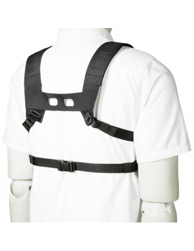 TASMANIAN_-_TATTICO_TT_SMALL_COM_1651703792_2.png