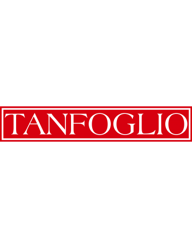 TANFOGLIO_-_CARICATORE_CON_PAD_A_1653328294_0.png