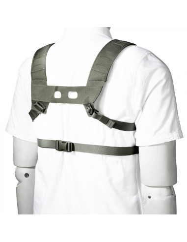 TASMANIAN_-_TATTICO_TT_SMALL_COM_1655399878_2.png