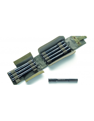 CHIAPPA_-_X-CALIBER_CONVERSIONE__1694174948_1.jpg