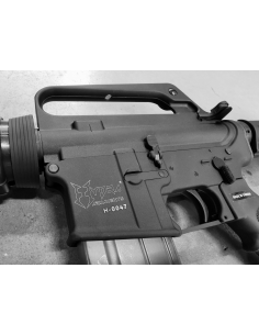 VFC_-_M733_with_Hydra_logo_no_CO_1705608047_0.png 2