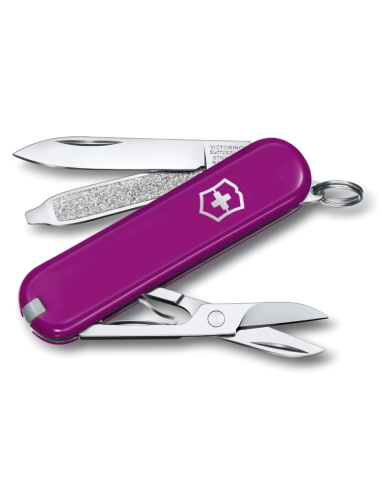 VICTORINOX_-_COLTELLO_MULTIUSO_C_1733263249_0.png