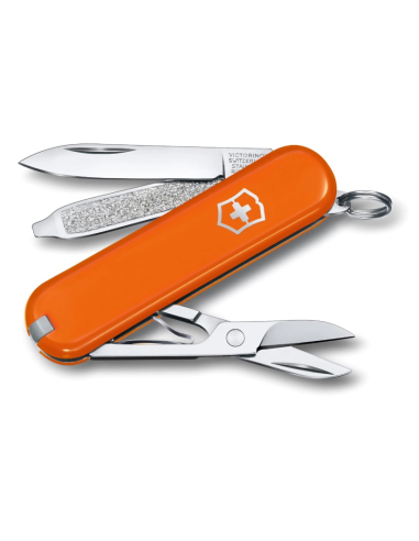 VICTORINOX_-_COLTELLO_MULTIUSO_C_1733263544_0.png