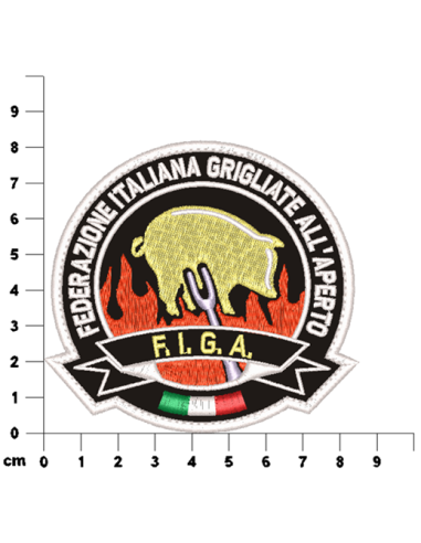 PATCH_F._I._G._A._GOLD_EDITION_1743179674_1.png