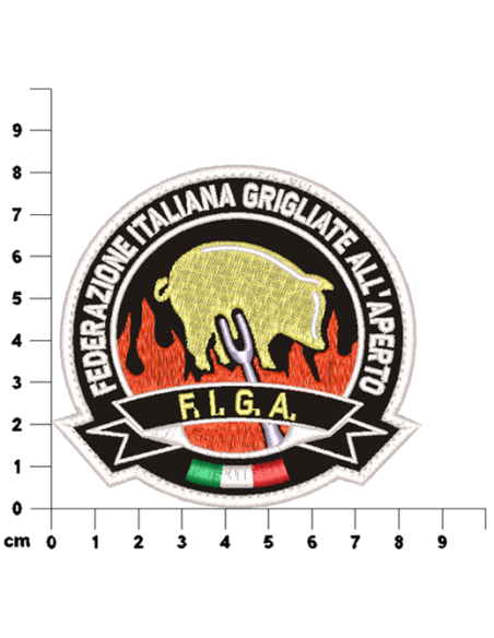 PATCH_F._I._G._A._GOLD_EDITION_1743179674_1.png