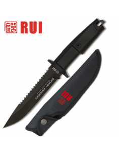 rui_31710.jpg