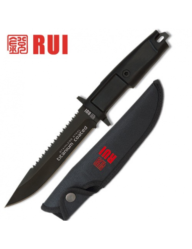 rui_31710.jpg