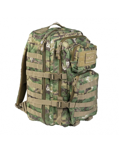 ZAINO_Assault_large_ARID_WOODLAN_1770890720_0.png