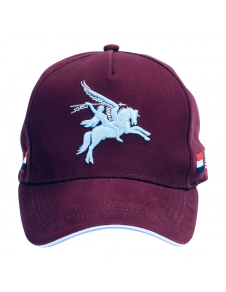 XXXXX_BASEBALL_CAP_PEGASUS_WWWII_1630057186_0.png