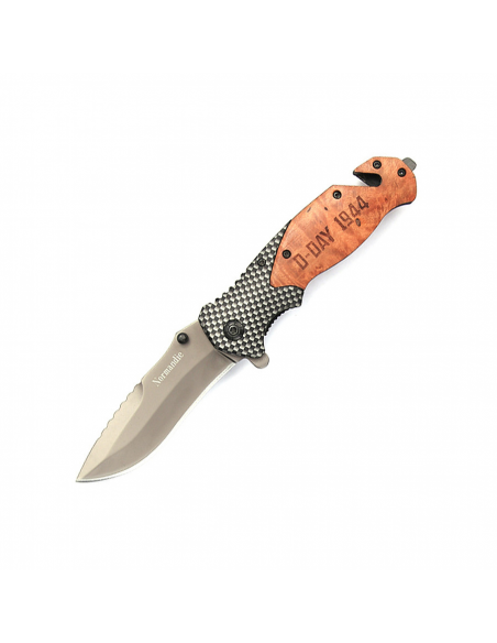 FOSTEX_-_COLTELLO_PIEGHEVOLE_D-D_1777809719_0.png