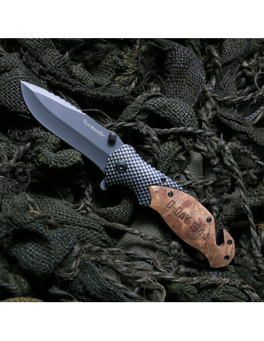 FOSTEX_-_COLTELLO_PIEGHEVOLE_D-D_1777809722_1.png
