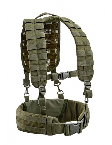 D5_2029_OD_LOAD_BELT.jpg