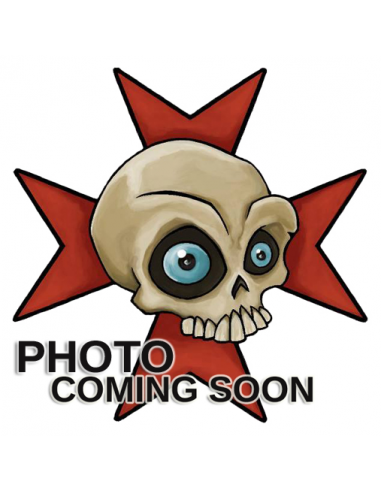 PHOTO_COOMING_SOON_TEMPLARS.jpg