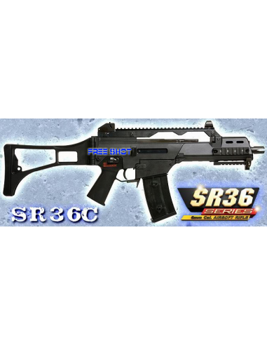 SR36_ok.jpg