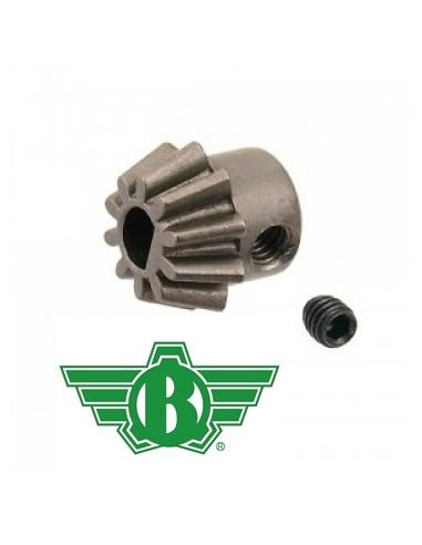 pignone_motore_bolt.jpg
