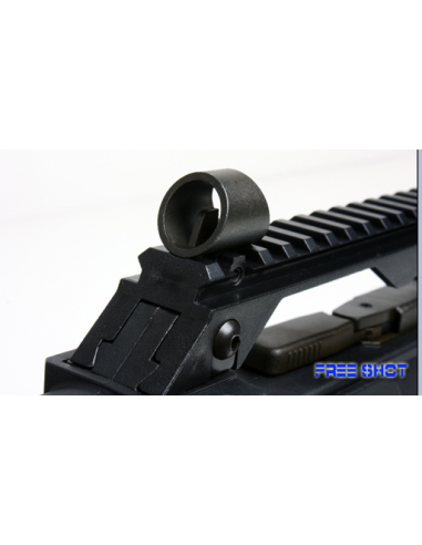 SR36_due.jpg
