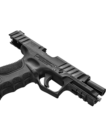 PISTOLE_STOEGER_PISTOLA_CAL._9X21_IMI_PISTOLE_STOEGER_1598872044_2.png