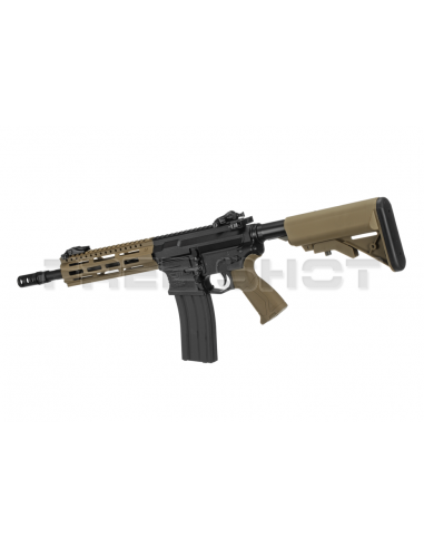 G_G_CM16_RAIDER_2.0_DESERT_M-LOCK__1605205453_1.png