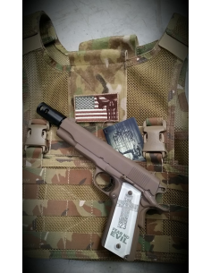 DFY_FH1911a.JPG 2