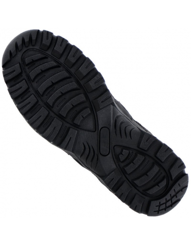 ANFIBI_GEN._II_NERO_selezionare__1615637577_4.png