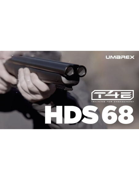 hds2.jpg