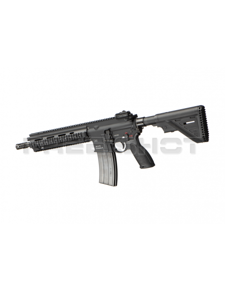 _copia_VR_RIS_II_GBBR_-_by_VFC_c_1621021177_1.png