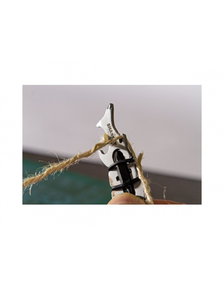 TRUE_UTILITY_SHARKEY_2.png